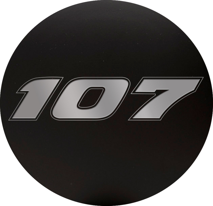 Harley Points Cover "107"
