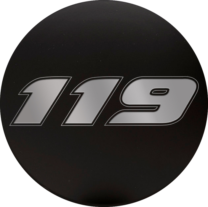 Harley Points Cover "119"